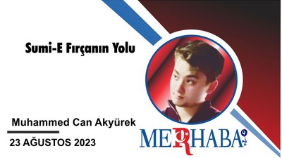 Sumi-E Fırçanın Yolu