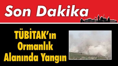 Tübitak’ın Ormanlık Alanında Yangın