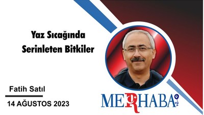 Yaz Sıcağında Serinleten Bitkiler