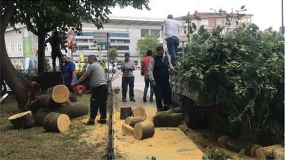 Şiddetli rüzgâr ağacı devirdi