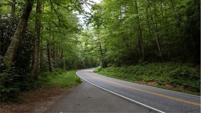 Orman yolu sanat yapısı yaptırılacak
