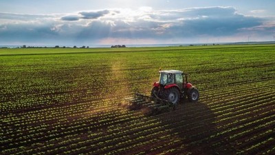 Çanakkale Gelibolu'da 997 m² tarla icradan satılık