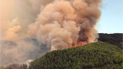 Alanya'da Orman Yangını ! Bakan Yumaklı'dan Açıklama
