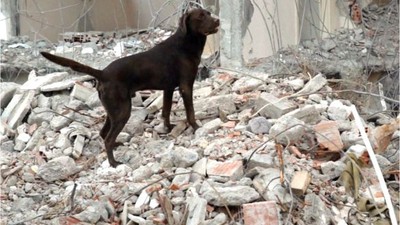 Ateş İmdada Koşmaya Hazır