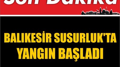 Son Dakika ! Balıkesir Susurluk'ta Yangın Başladı