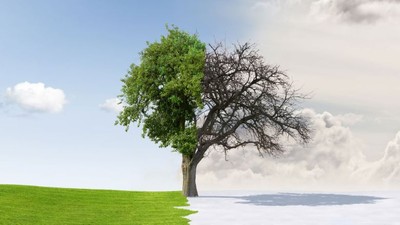 Balıkesir'de Hava Nasıl Olacak ? İşte 5 Günlük Rapor