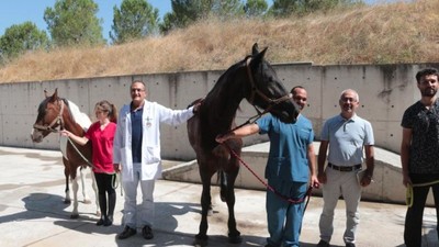 Balıkesir'de "Tüp Tay" Projesi Uygulamaya Geçti