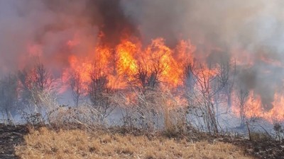 Bandırma'da Kırsal Yangın Alarmı