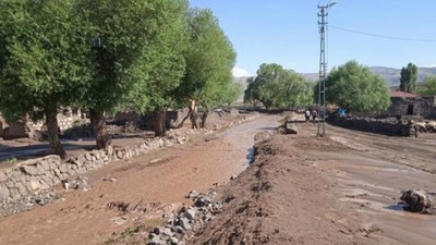 Evler Su Altında Kaldı: Atlar Telef Oldu