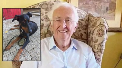 Kayıp Berzeg'in Köpeği Eve Döndü