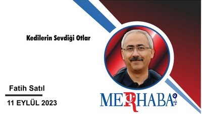 Kedilerin Sevdiği Otlar
