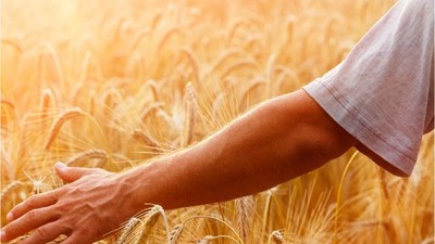 Kepsut Belediyesi Üreticilere Büyük Destek Sunuyor