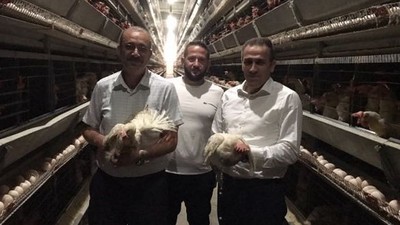 Kaymakam Memiş Yumurta ve Et Üretim Tesislerini Ziyaret Etti