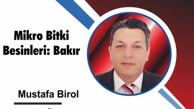 Mikro Bitki Besinleri: Bakır