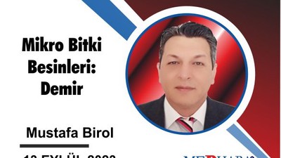 Mikro Bitki Besinleri: Demir