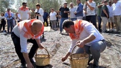 Milletvekili Yüksel Zeytinyağı İçin Sahaya İndi