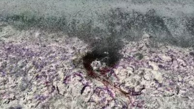 Sahil Kenarları Mor Renge Büründü