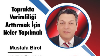 Toprakta Verimliliği Arttırmak İçin Neler Yapılmalı