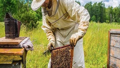 Susurluk’ta Arıcılık Eğitimi