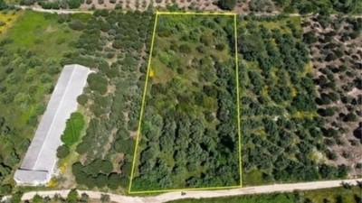 Balıkesir Erdek İlhan Mahallesi'nde 1.675 m² tarla mahkemeden satılık