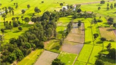 Balıkesir Manyas'ta 1.275 m² arsa icradan satılık