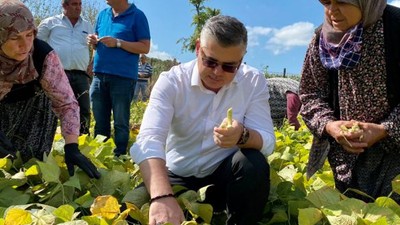 Badalan Fasulyesi Hasadı Yapıldı