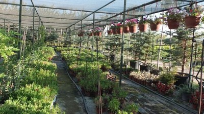 500 Çeşit Bitki Yetiştirdi