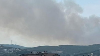 Bursa'da Orman Yangını!