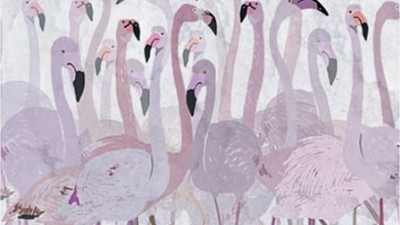Türkiye'nin ilk Flamingo Festivali
