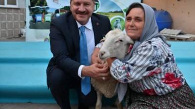 Tarladaki Atıklar Kuzuya Dönüşüyor