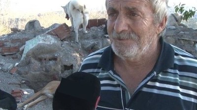 Sokak Köpeklerini Beslediği için Silahlı Saldırıya Uğradı!