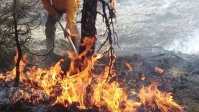 Muğla'da 36 Yerde Yangın