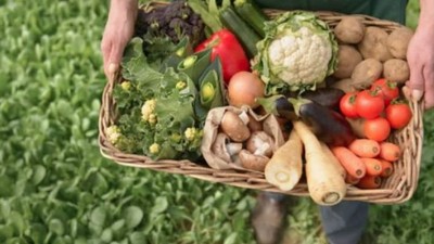 Burhaniye’de Organik Sezonu Başladı