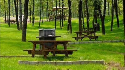 Bandırma Orman İşletme Müdürlüğü'nce konaklamasız orman parkı kiraya verilecek