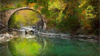 Balıkesir'in Yeşil Hazineleri: Ağaçları