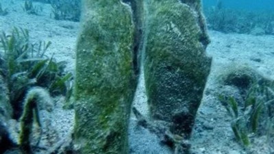 Balıkesir'de Pina Görüldü