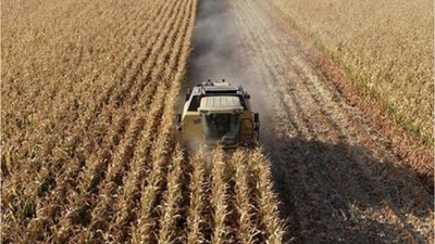 Çanakkale merkez Sarıcaeli Köyü'nde 14.666 m² tarım arazisi icradan satılık