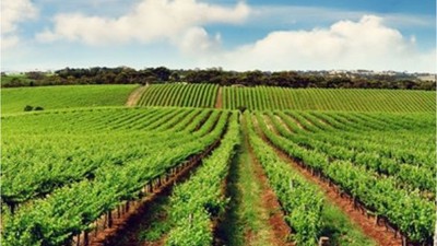 Çanakkale merkez İntepe Mahallesi'nde 3.398 m² tarım arazisi icradan satılık