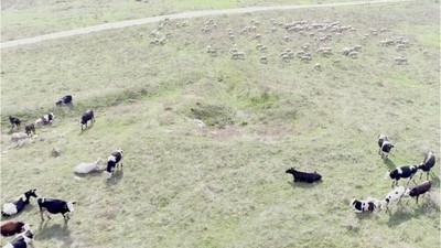 Balıkesir Tarım ve Hayvancılıkta Devrim Yaratıyor
