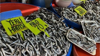 Balıkesir'de Balık Tezgahlarını Hamsi Dolduruyor