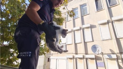 Balıkesir’de Kimi Kuyuya Düştü Kimi Ağaçta Mahsur Kaldı