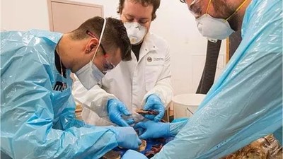 Balıkesir'den Gelen Vasiyet: 4 Yıl Boyunca Kadavra Oldu