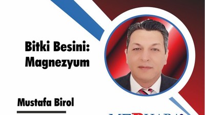 Bitki Besini: Magnezyum