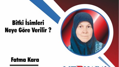 Bitki İsimleri Neye Göre Verilir ?