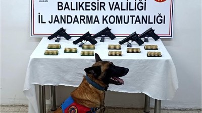 Balıkesir'de Bomba köpeği 'Vaha' kaçak silahları Nasıl buldu! kameralarda...