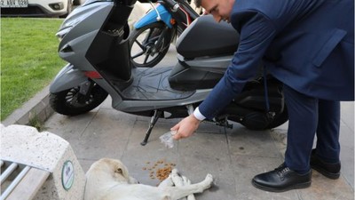 Edremit Can Dostlarını Unutmadı