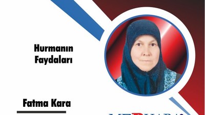 Hurmanın Faydaları
