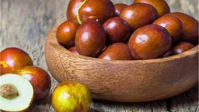 Kanserin Tek Doğal Çözümü Balıkesir’de