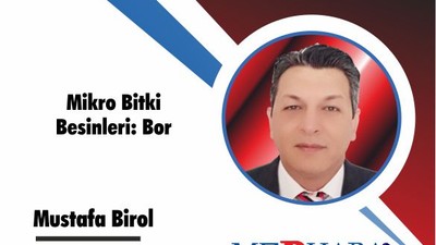 Mikro Bitki Besinleri: Bor