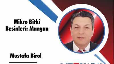 Mikro Bitki Besinleri: Mangan
